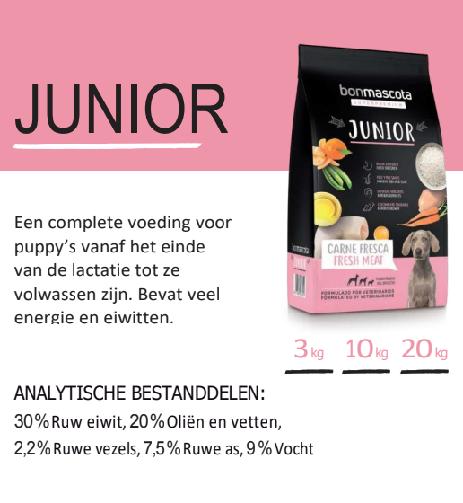 JUNIOR