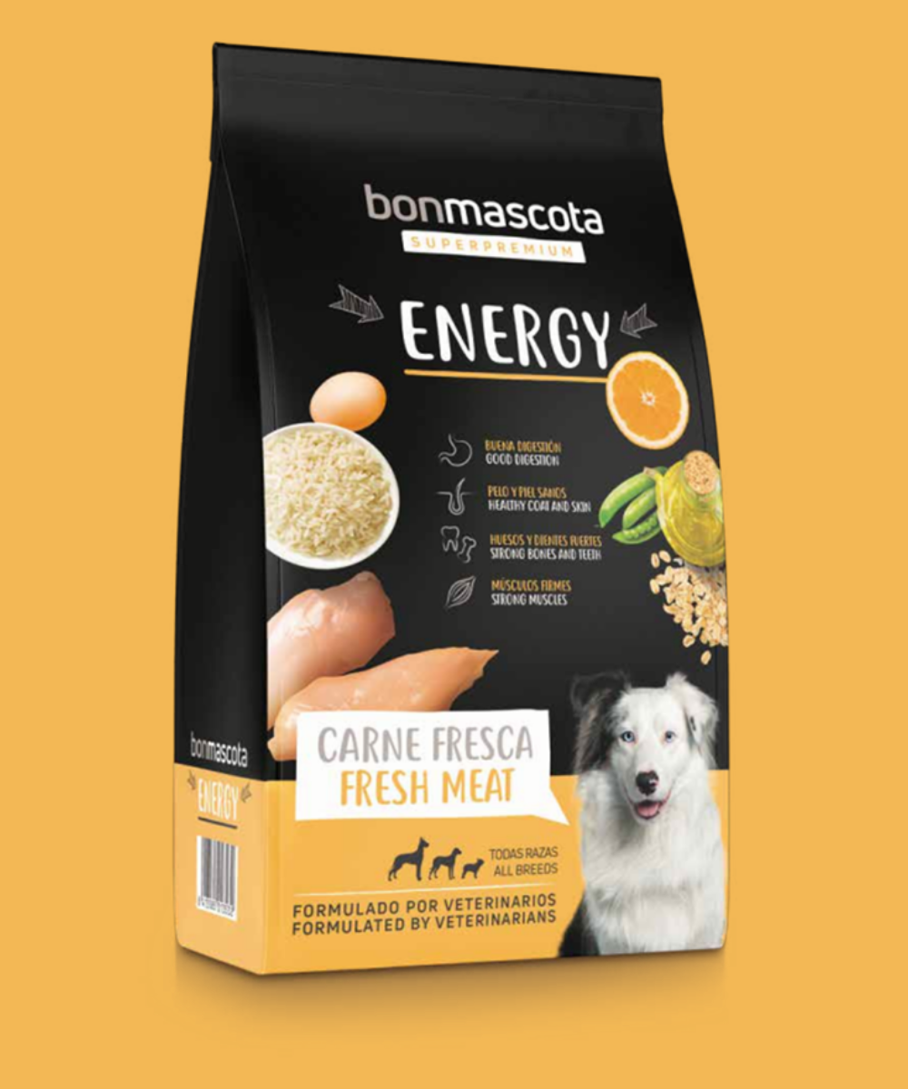 Hondenvoeding voor energie natuurlijk